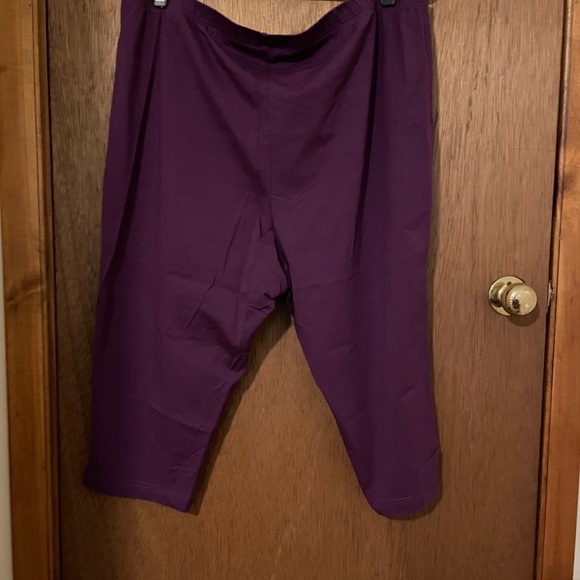Woman’s Plus Size Capris - Picture 2 of 5